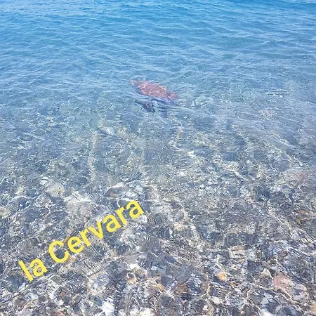 아파트 Finestra Sul Glicine 시로마리나