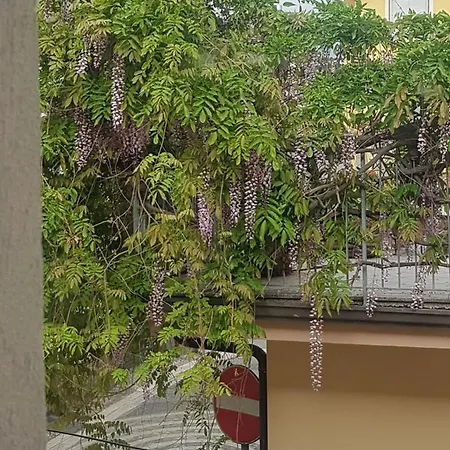 Apartment Finestra Sul Glicine Ciro Marina